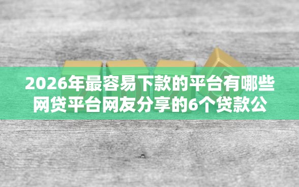 2026年最容易下款的平台有哪些网贷平台网友分享的6个贷款公司平台我觉得不错！