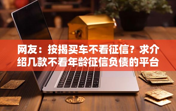 网友：按揭买车不看征信？求介绍几款不看年龄征信负债的平台