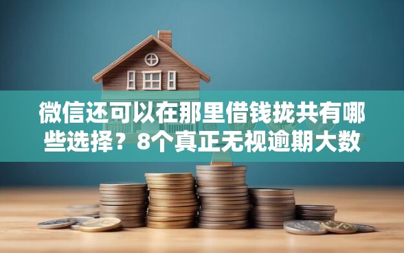 微信还可以在那里借钱拢共有哪些选择？8个真正无视逾期大数据的网贷平台详解