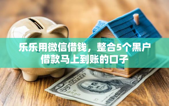 乐乐用微信借钱，整合5个黑户借款马上到账的口子