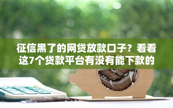 征信黑了的网贷放款口子？看看这7个贷款平台有没有能下款的