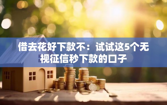 借去花好下款不：试试这5个无视征信秒下款的口子