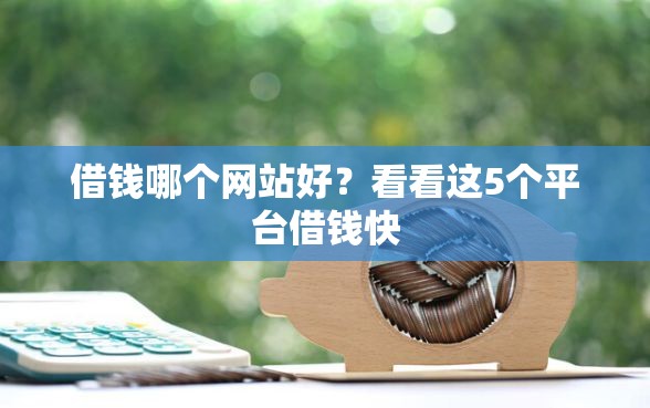 借钱哪个网站好？看看这5个平台借钱快