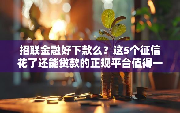 招联金融好下款么？这5个征信花了还能贷款的正规平台值得一试