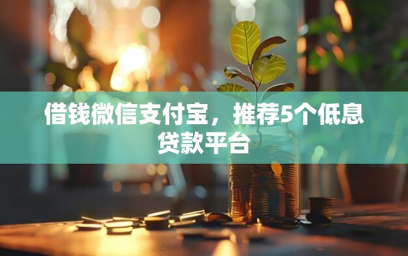 借钱微信支付宝，推荐5个低息贷款平台