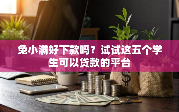 兔小满好下款吗？试试这五个学生可以贷款的平台