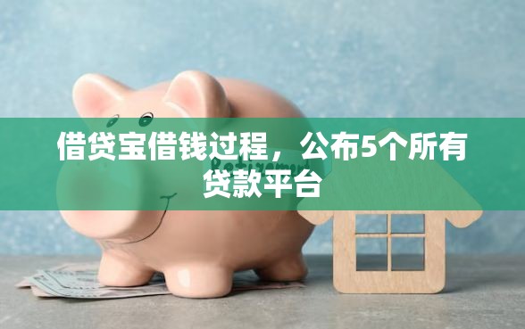 借贷宝借钱过程，公布5个所有贷款平台