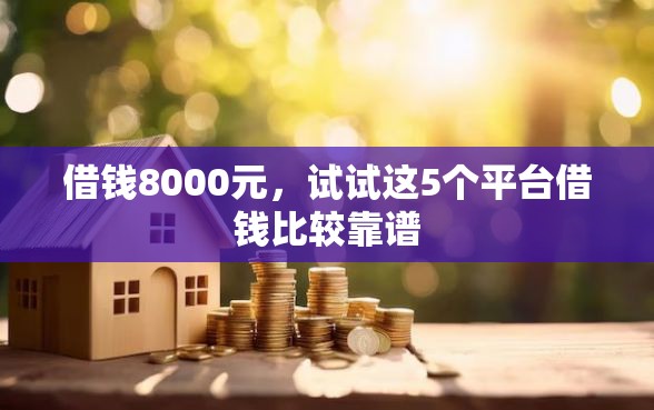 借钱8000元，试试这5个平台借钱比较靠谱