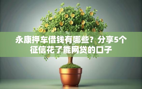 永康押车借钱有哪些？分享5个征信花了能网贷的口子