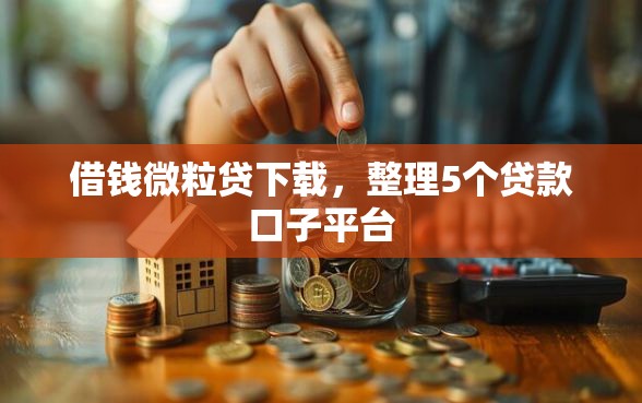 借钱微粒贷下载，整理5个贷款口子平台