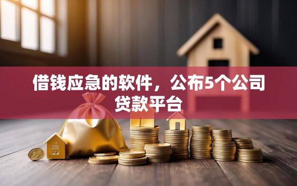 借钱应急的软件,公布5个公司贷款平台 借钱应急的软件,公布5个公司贷款平台