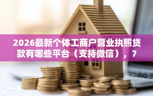 2026最新个体工商户营业执照贷款有哪些平台（支持微信），7个现在有没有黑户下款的口子无私分享