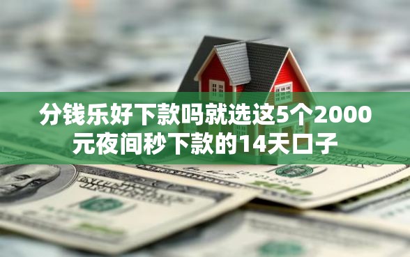 分钱乐好下款吗就选这5个2000元夜间秒下款的14天口子