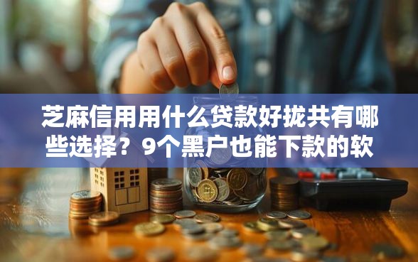 芝麻信用用什么贷款好拢共有哪些选择？9个黑户也能下款的软件详解