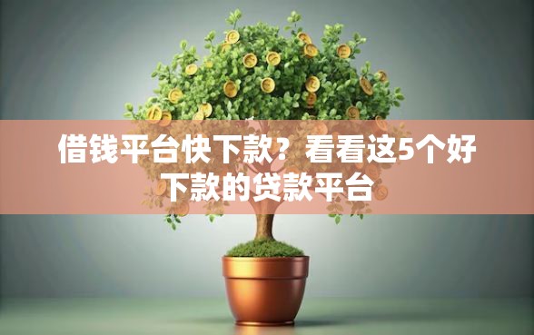 借钱平台快下款？看看这5个好下款的贷款平台