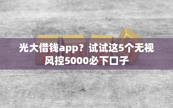 光大借钱app？试试这5个无视风控5000必下口子
