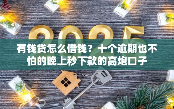 有钱贷怎么借钱？十个逾期也不怕的晚上秒下款的高炮口子
