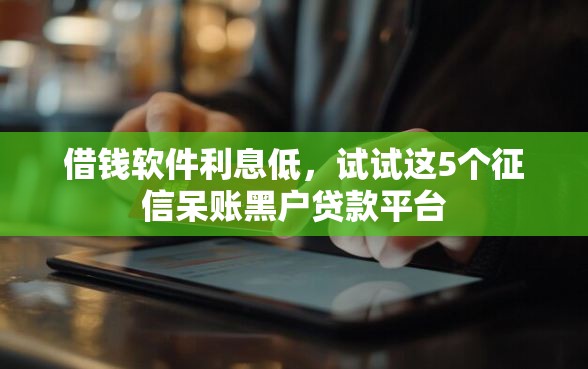 借钱软件利息低，试试这5个征信呆账黑户贷款平台