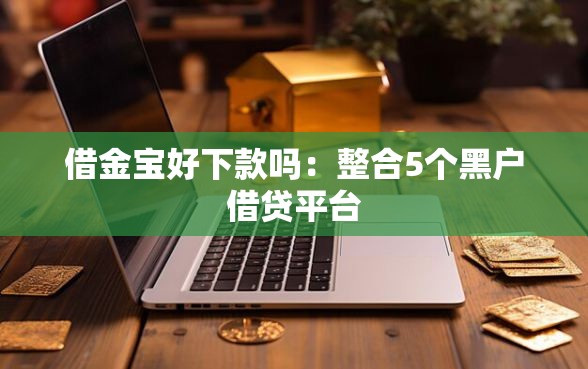 借金宝好下款吗：整合5个黑户借贷平台