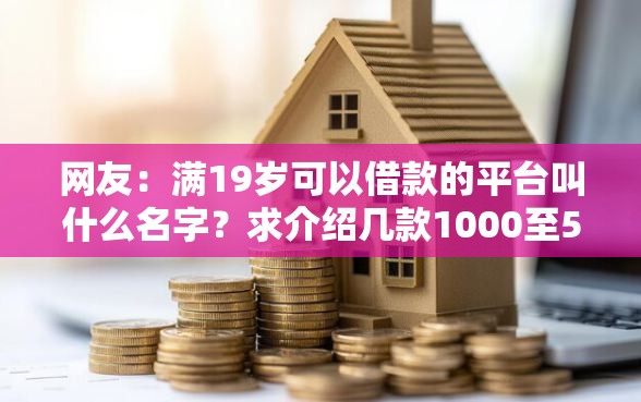 网友：满19岁可以借款的平台叫什么名字？求介绍几款1000至5000的小额贷款平台