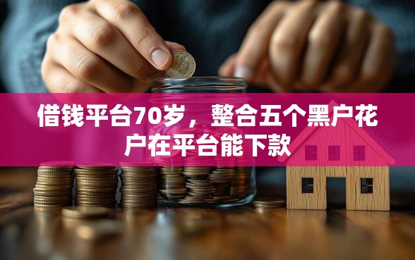 借钱平台70岁，整合五个黑户花户在平台能下款