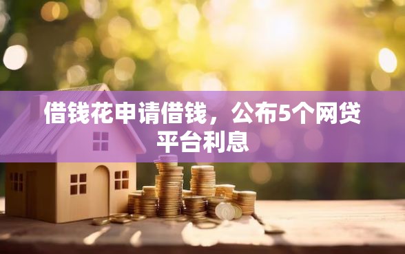 借钱花申请借钱，公布5个网贷平台利息