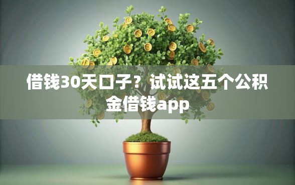 借钱30天口子？试试这五个公积金借钱app