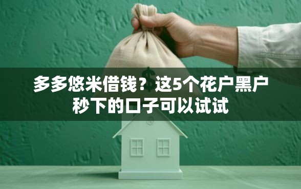 多多悠米借钱？这5个花户黑户秒下的口子可以试试