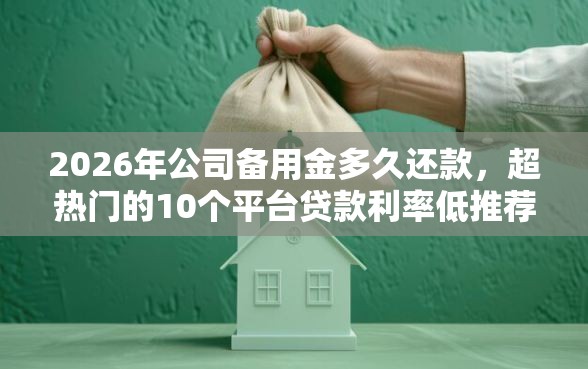 2026年公司备用金多久还款，超热门的10个平台贷款利率低推荐