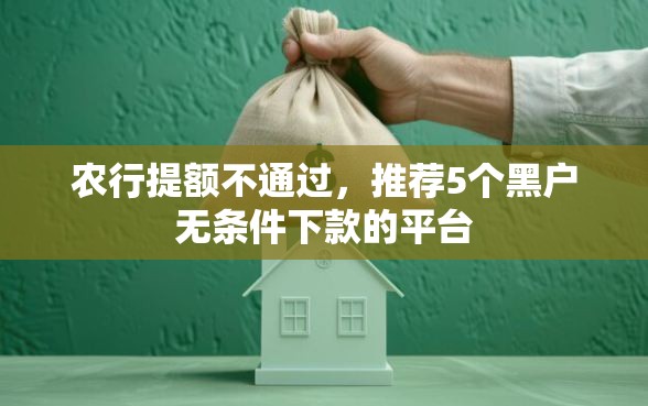 农行提额不通过，推荐5个黑户无条件下款的平台