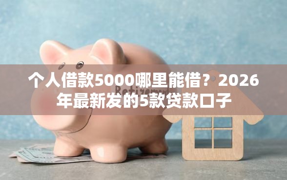 个人借款5000哪里能借？2026年最新发的5款贷款口子