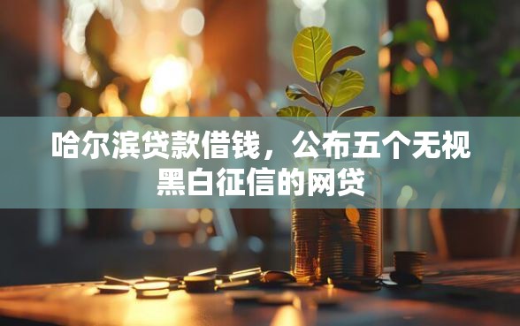 哈尔滨贷款借钱，公布五个无视黑白征信的网贷