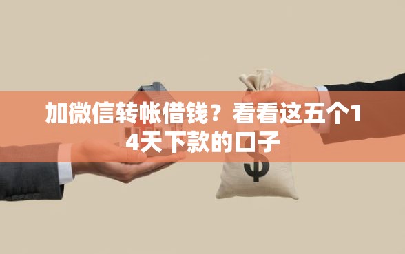 加微信转帐借钱？看看这五个14天下款的口子