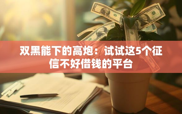 双黑能下的高炮：试试这5个征信不好借钱的平台