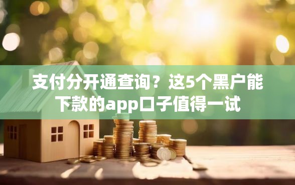 支付分开通查询？这5个黑户能下款的app口子值得一试