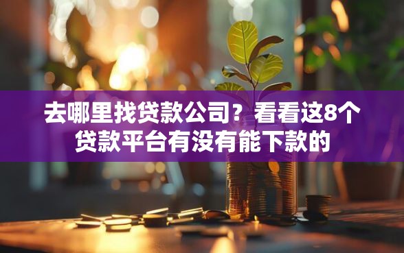去哪里找贷款公司？看看这8个贷款平台有没有能下款的