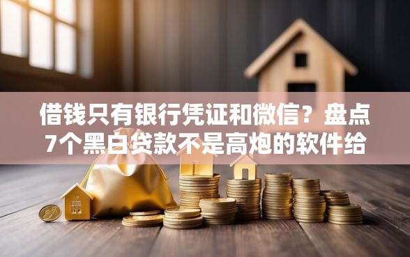 借钱只有银行凭证和微信？盘点7个黑白贷款不是高炮的软件给你参考