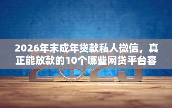 2026年末成年贷款私人微信，真正能放款的10个哪些网贷平台容易贷款推荐
