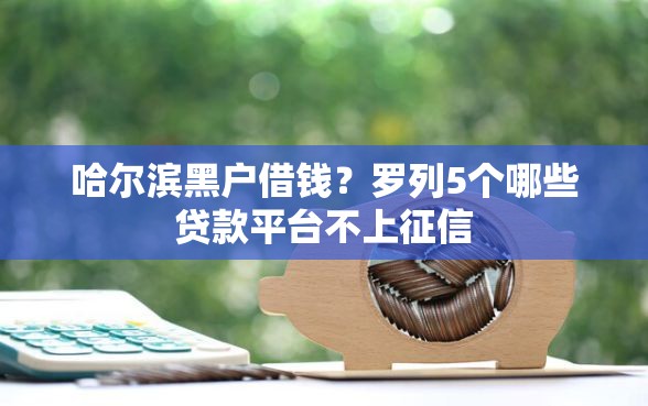 哈尔滨黑户借钱？罗列5个哪些贷款平台不上征信