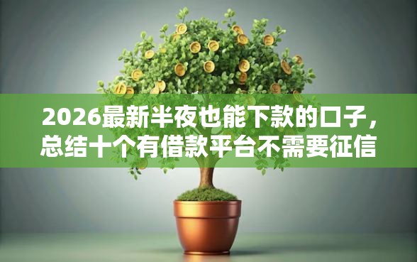 2026最新半夜也能下款的口子，总结十个有借款平台不需要征信就能借钱的！