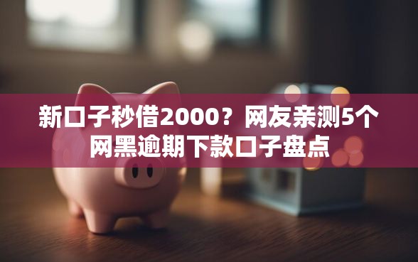 新口子秒借2000？网友亲测5个网黑逾期下款口子盘点