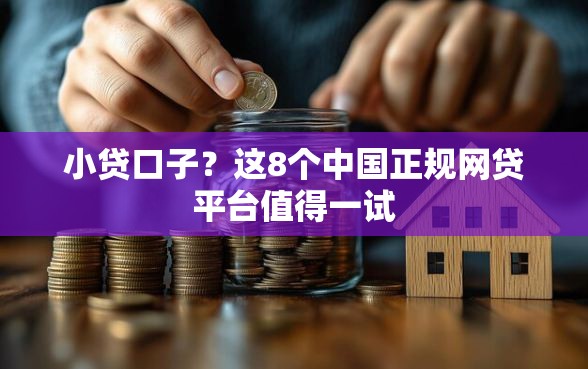 小贷口子？这8个中国正规网贷平台值得一试
