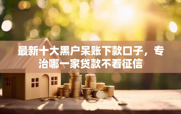 最新十大黑户呆账下款口子，专治哪一家贷款不看征信