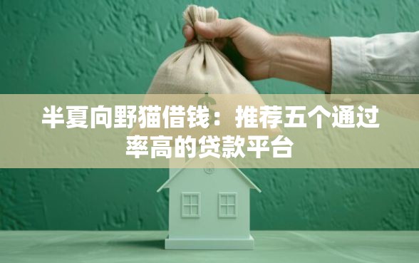 半夏向野猫借钱：推荐五个通过率高的贷款平台