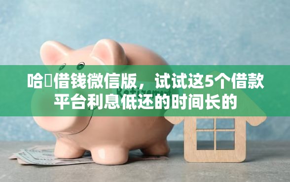 哈啰借钱微信版，试试这5个借款平台利息低还的时间长的