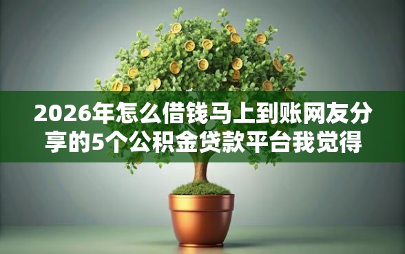 2026年怎么借钱马上到账网友分享的5个公积金贷款平台我觉得不错！