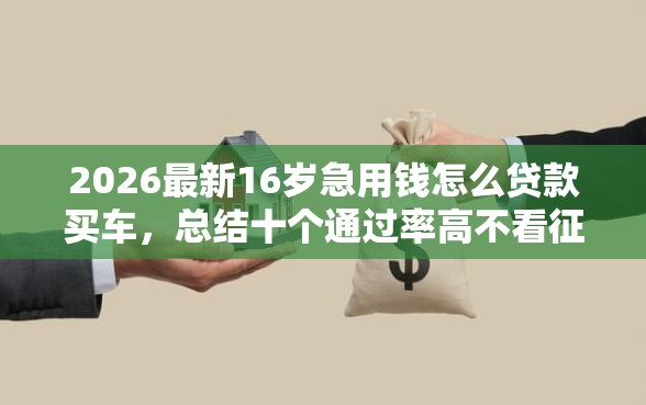 2026最新16岁急用钱怎么贷款买车，总结十个通过率高不看征信的贷款平台！