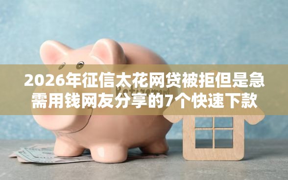 2026年征信太花网贷被拒但是急需用钱网友分享的7个快速下款无视征信的口子我觉得不错！