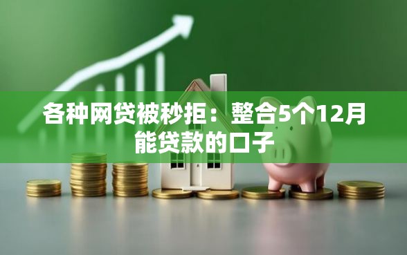 各种网贷被秒拒：整合5个12月能贷款的口子