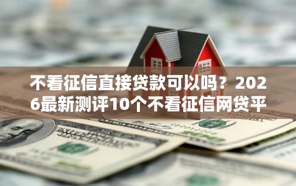 不看征信直接贷款可以吗？2026最新测评10个不看征信网贷平台放款快的软件